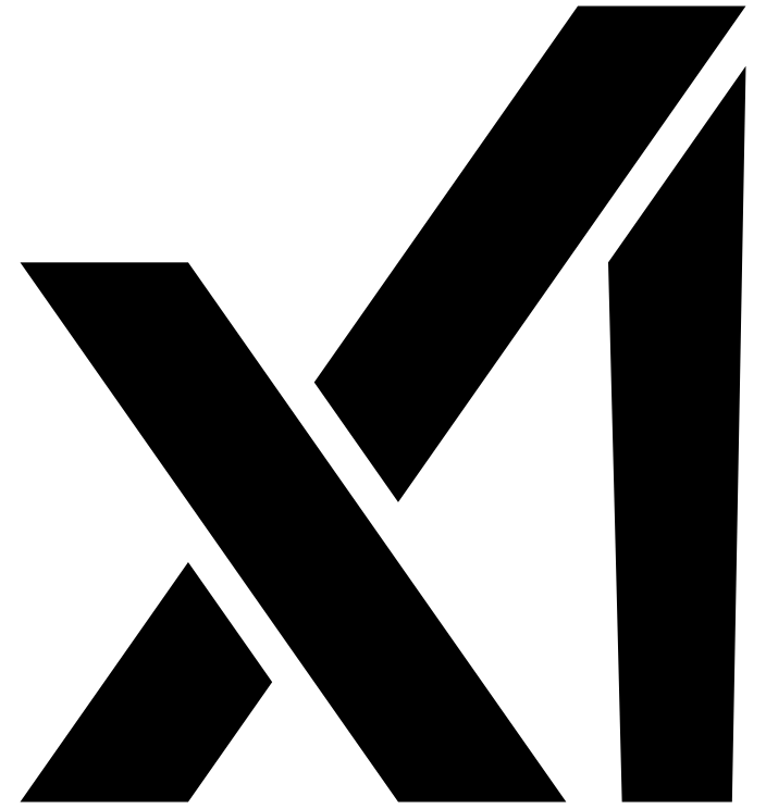 X AI